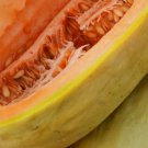 Banana Melon Seeds Fresh Garden Seeds