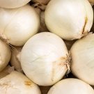 Early White Grano Prr Onion Seeds Fresh Garden Seeds