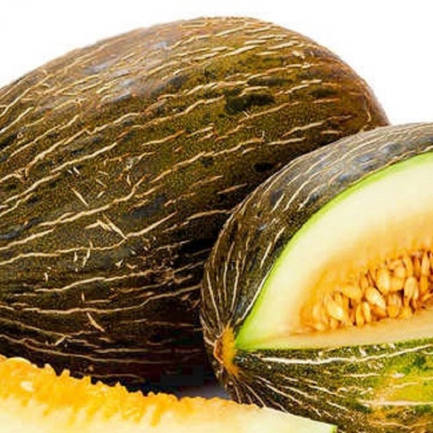 Piel De Sapo Melon Seeds Fresh Garden Seeds