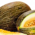 Piel De Sapo Melon Seeds Fresh Garden Seeds
