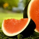 Sugar Baby Watermelon Fresh Garden Seeds
