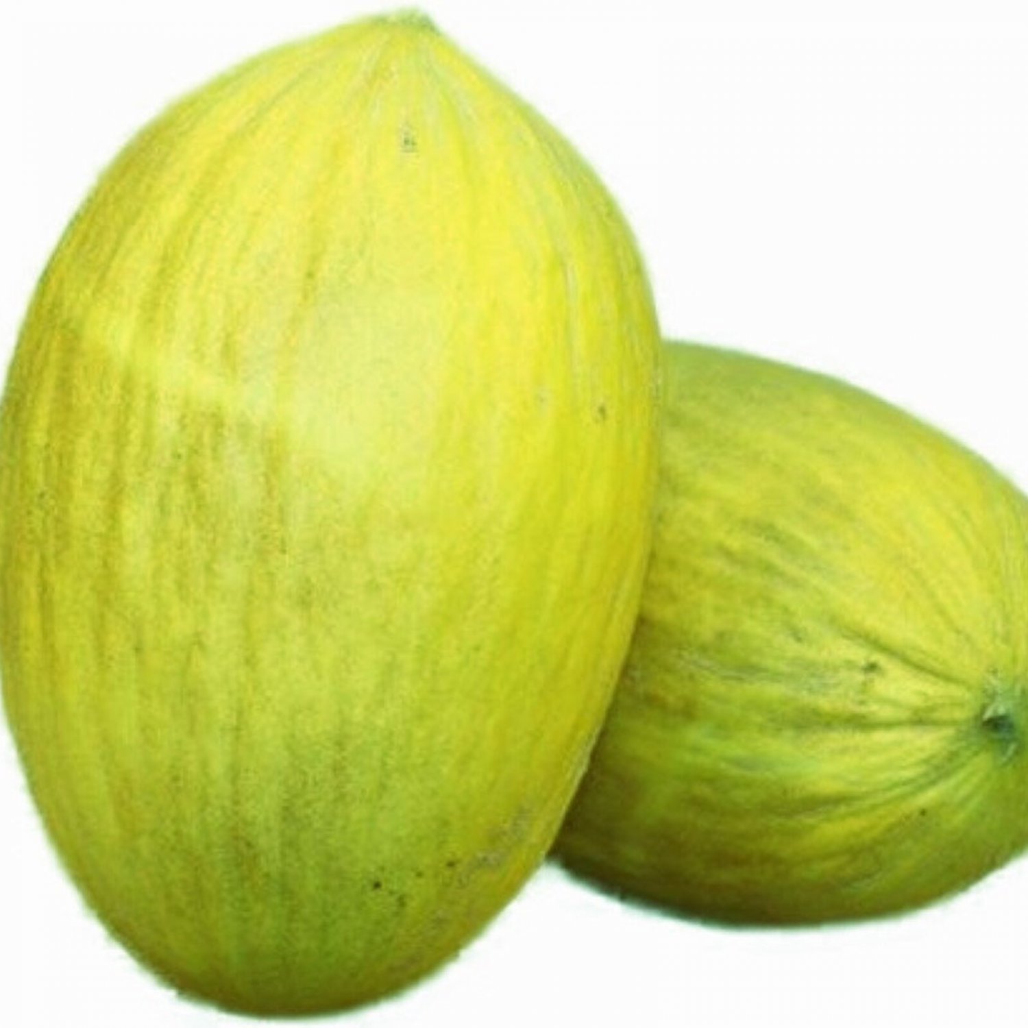 Amarillo Oro Melon Seeds Fresh Garden Seeds
