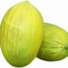 Amarillo Oro Melon Seeds Fresh Garden Seeds