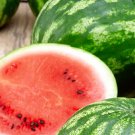 Cal Sweet Watermelon Seeds Fresh Garden Seeds