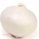 Eclipse L303 Onion Seeds Fresh Garden Seeds