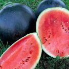 Black Diamond Watermelon Seeds Watermelon Seeds Seeds