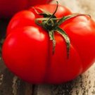 Beefsteak Tomato Seeds Tomato Seeds Fresh Vegetable Seeds
