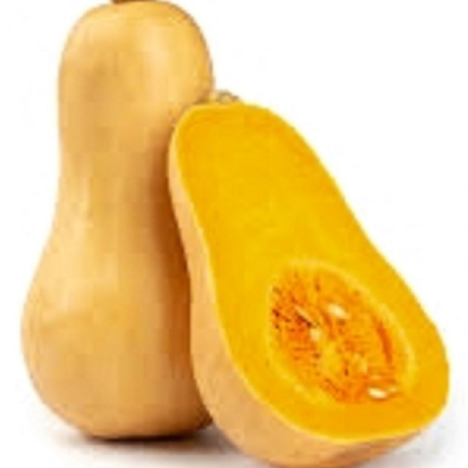 Butternut Winter Squash Seeds Squash Seeds Garden Seeds
