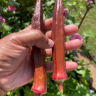 Jing Orange Okra Seeds