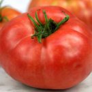 German Johnson Tomato Seeds