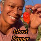 Ghost Pepper Seeds