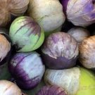 Purple Tomatillo Seeds