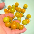 Lemon Drop Tomato Seeds