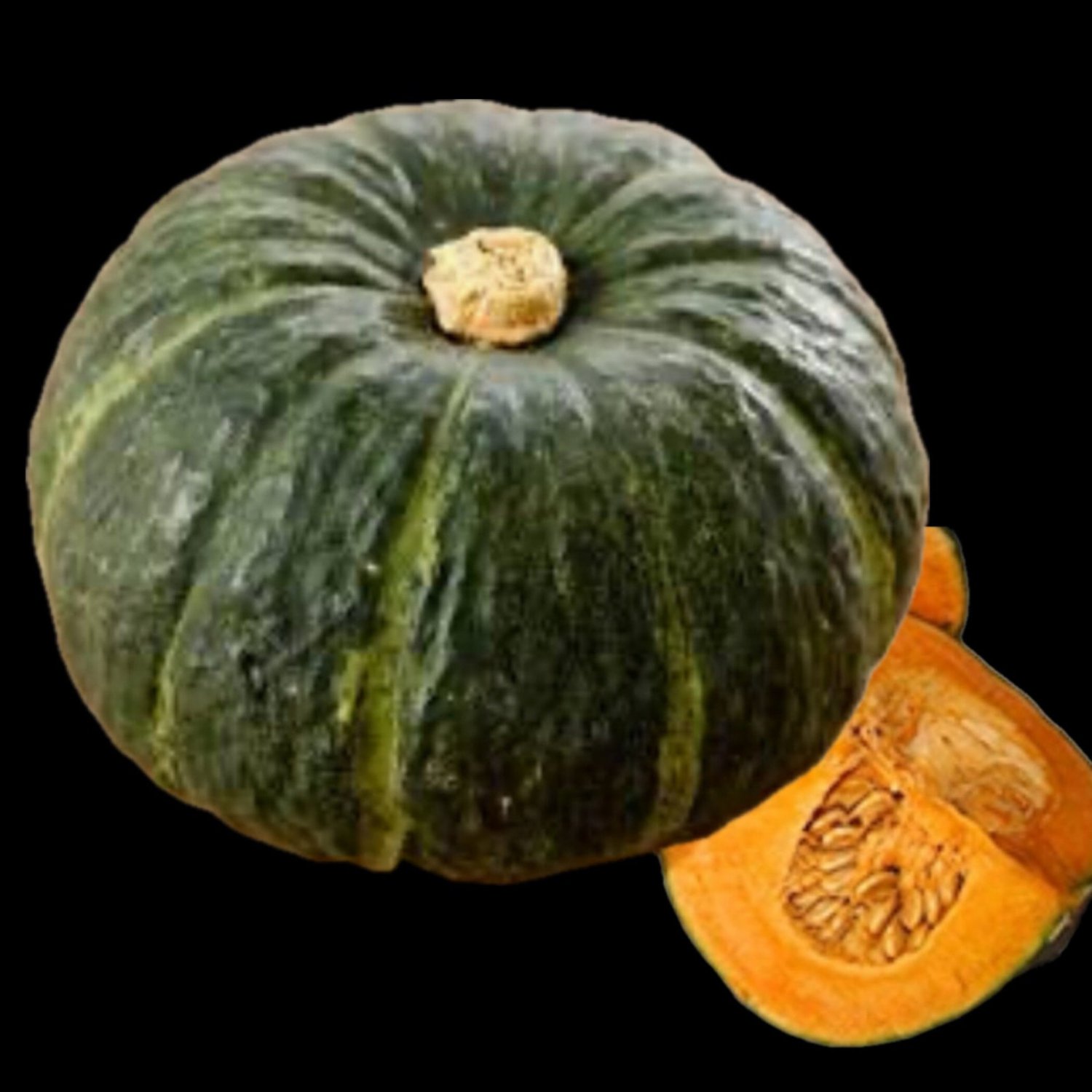 Zucca De Lungo Verde Italian Squash Seeds