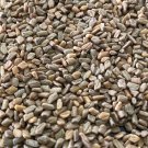 Fenugreek Seeds