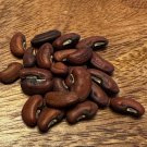 Organic Red Noodle Bean Seeds Asparagus Bean