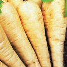 Parsnip Seeds