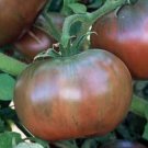 Cherokee Purple Tomato Seeds Organic