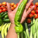 Anaheim Chile Pepper Seeds
