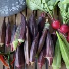 Red Burgundy Okra Seeds