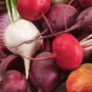 Beet Seeds Rainbow Mix