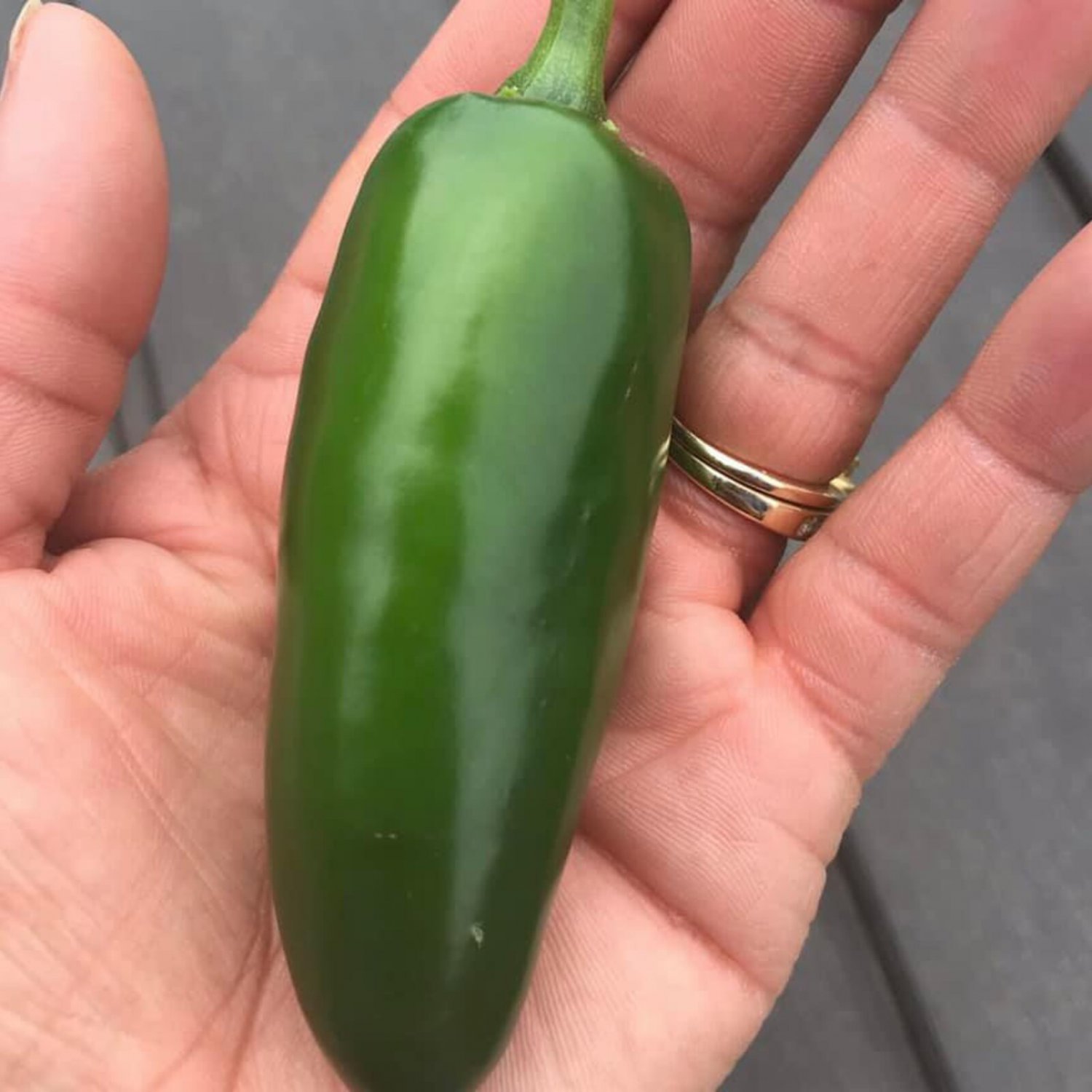 Jalapeno Pepper Seeds