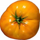 Amana Orange Tomato Seeds