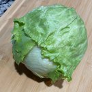 Crisp Head Lettuce Seeds