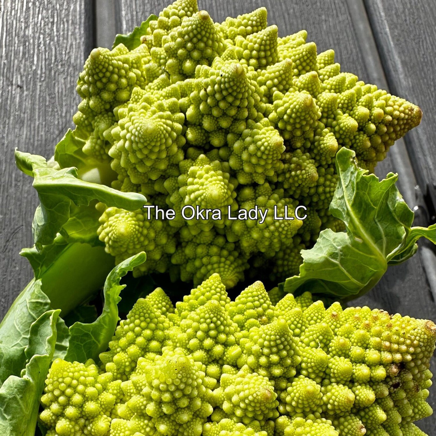 Romanesco Broccoli Seeds