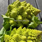 Romanesco Broccoli Seeds