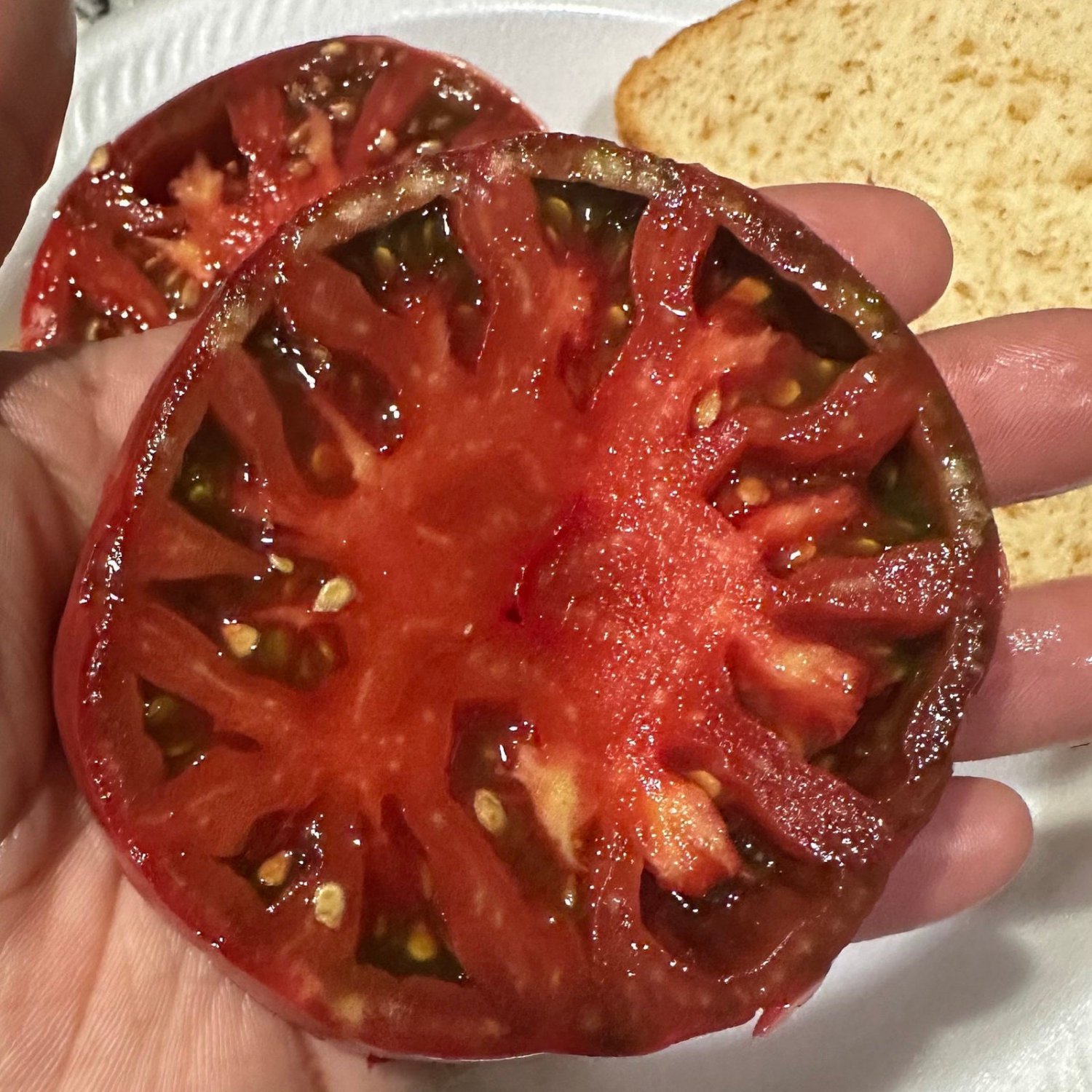 Paul Robeson Tomato Seeds