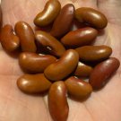Red Kidney Bean Seeds