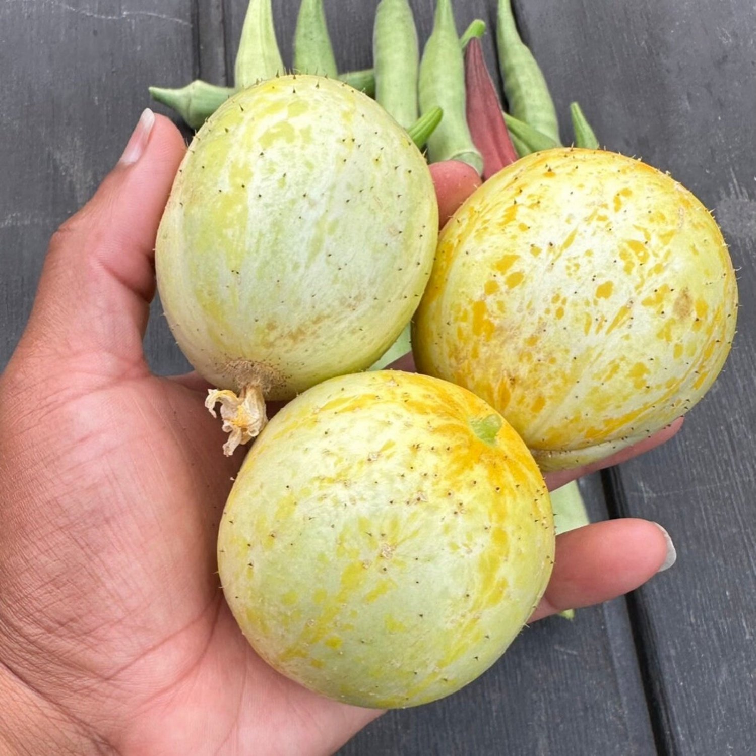 Lemon Cucumber Seeds