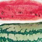 Georgia Rattlesnake Watermelon Seeds