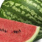 Crimson Sweet Watermelon Seeds