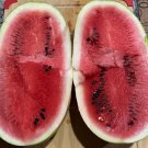 Sangria Watermelon Seeds