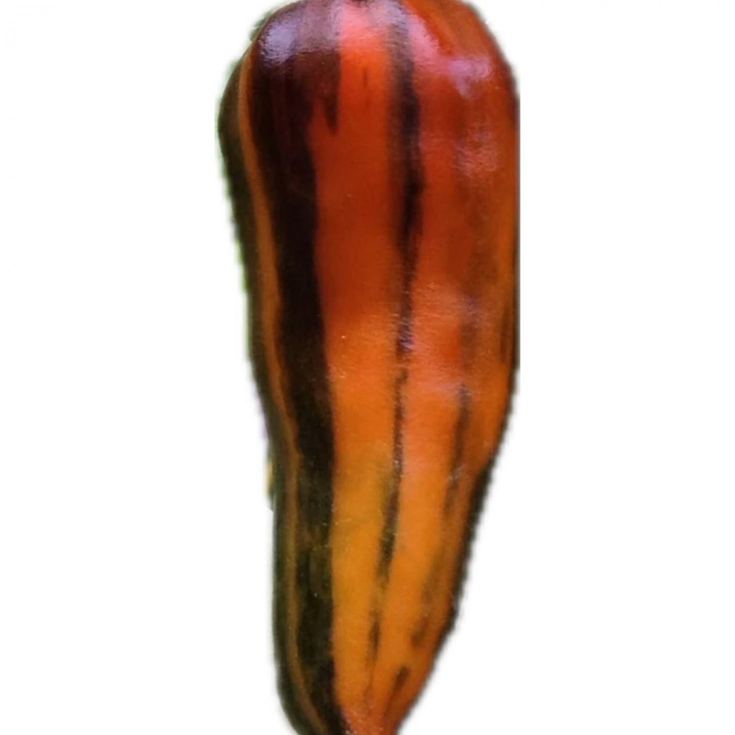 Fish Ornamental Hot Pepper Seeds