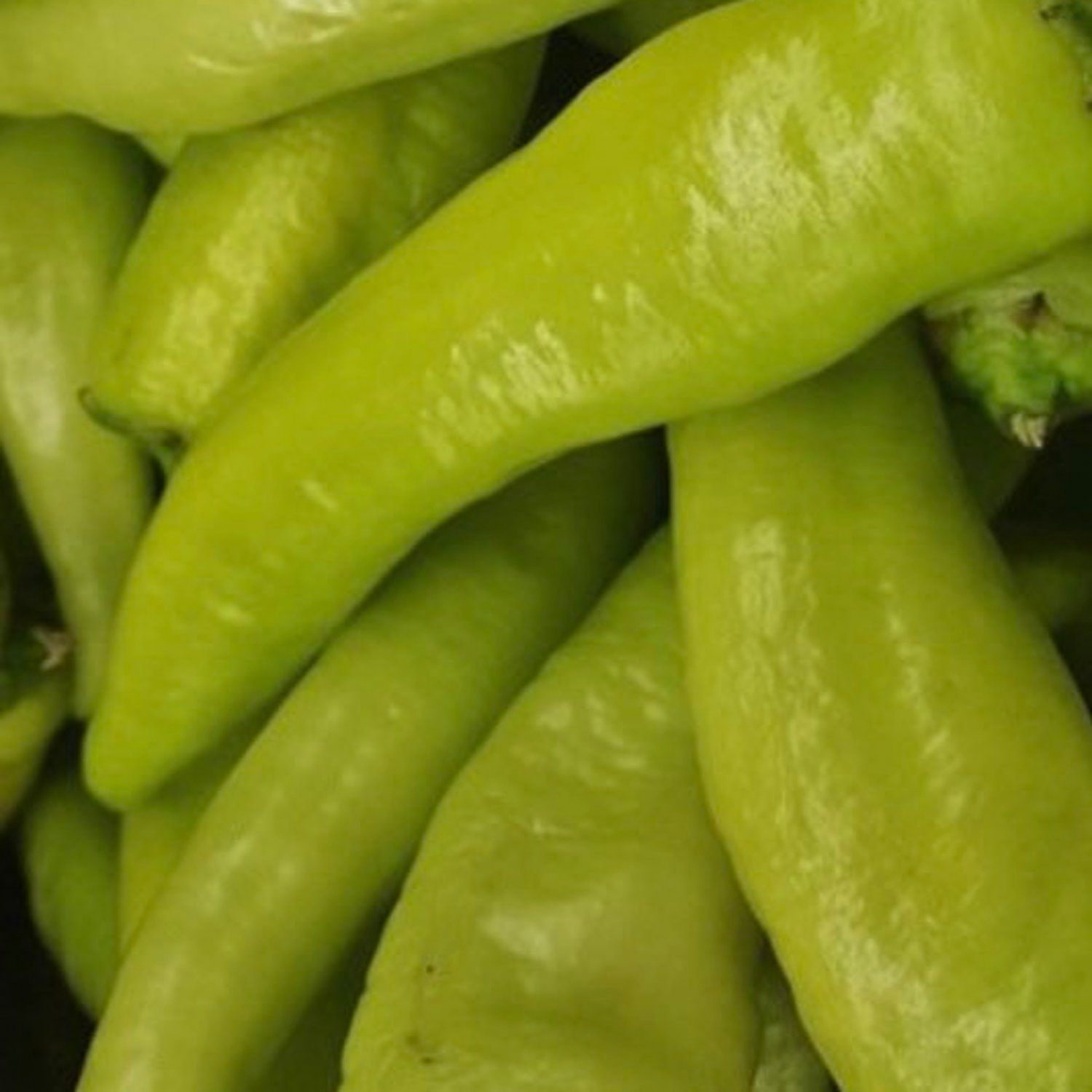 Hungarian Hot Pepper Seeds