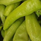Hungarian Hot Pepper Seeds