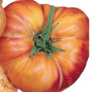Big Rainbow Tomato Seeds