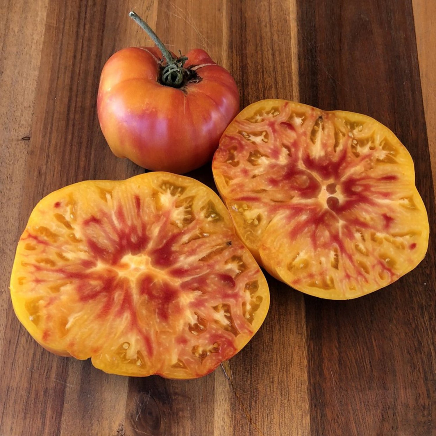 Gold Medal Tomato Seeds