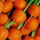 Parisian Carrot Seeds Organic