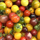 Cherry Mix Tomato Seeds