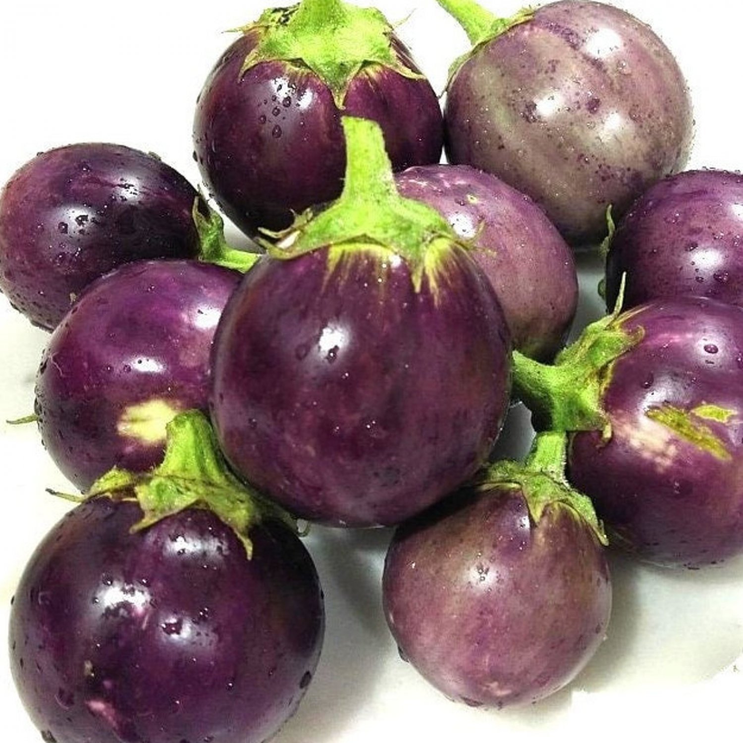 Round Purple Eggplant Seeds