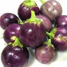 Round Purple Eggplant Seeds