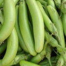 Fingers Green Eggplant Seeds