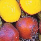 Golden Detroit Beet Seeds Vegetable Organic
