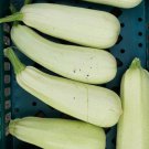 Trieste White Zucchini Seeds