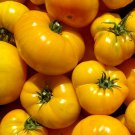 Azoychka Tomato Seeds