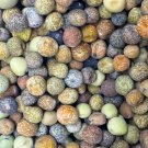 Roveja Pea Seeds